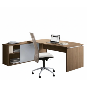 Escritorio CEO BRANDIX