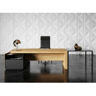 Escritorio de oficina ejecutivo SUCCESS