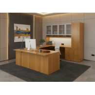 Escritorios de oficina ORANGE CEO