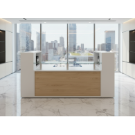 Recepción Ejecutiva ATLANTIS