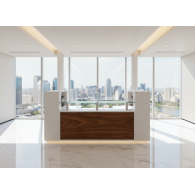 Recepción Ejecutiva ATLANTIS