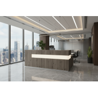 Mostrador de recepción SEI