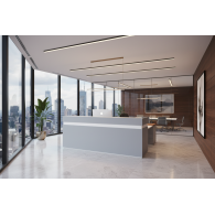 Recepcion Gris / Confort