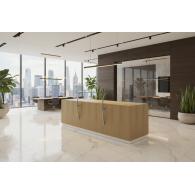 Recepción para oficina SOLEM