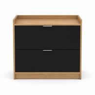 Archivero Horizontal Ejecutivo de 2 Gavetas
